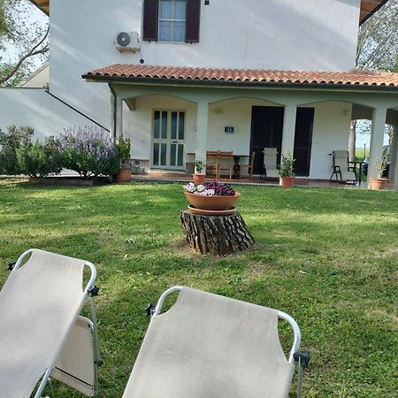 Agriturismo Uliveto Gretacci Montemerano Exterior photo