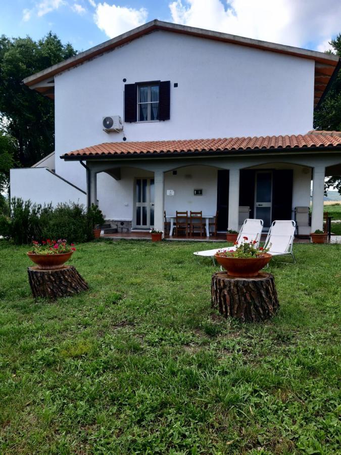 Agriturismo Uliveto Gretacci Montemerano Exterior photo