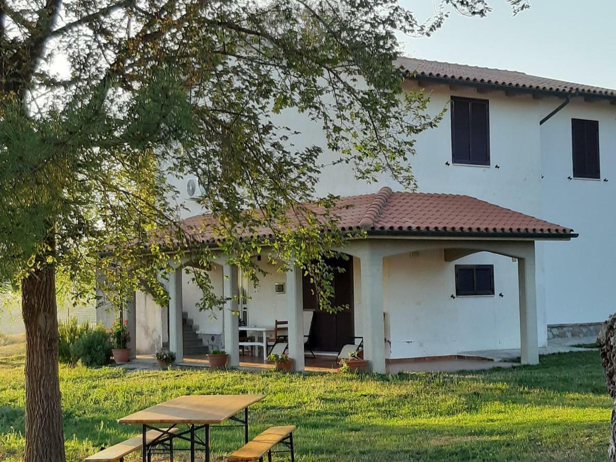 Agriturismo Uliveto Gretacci Montemerano Exterior photo